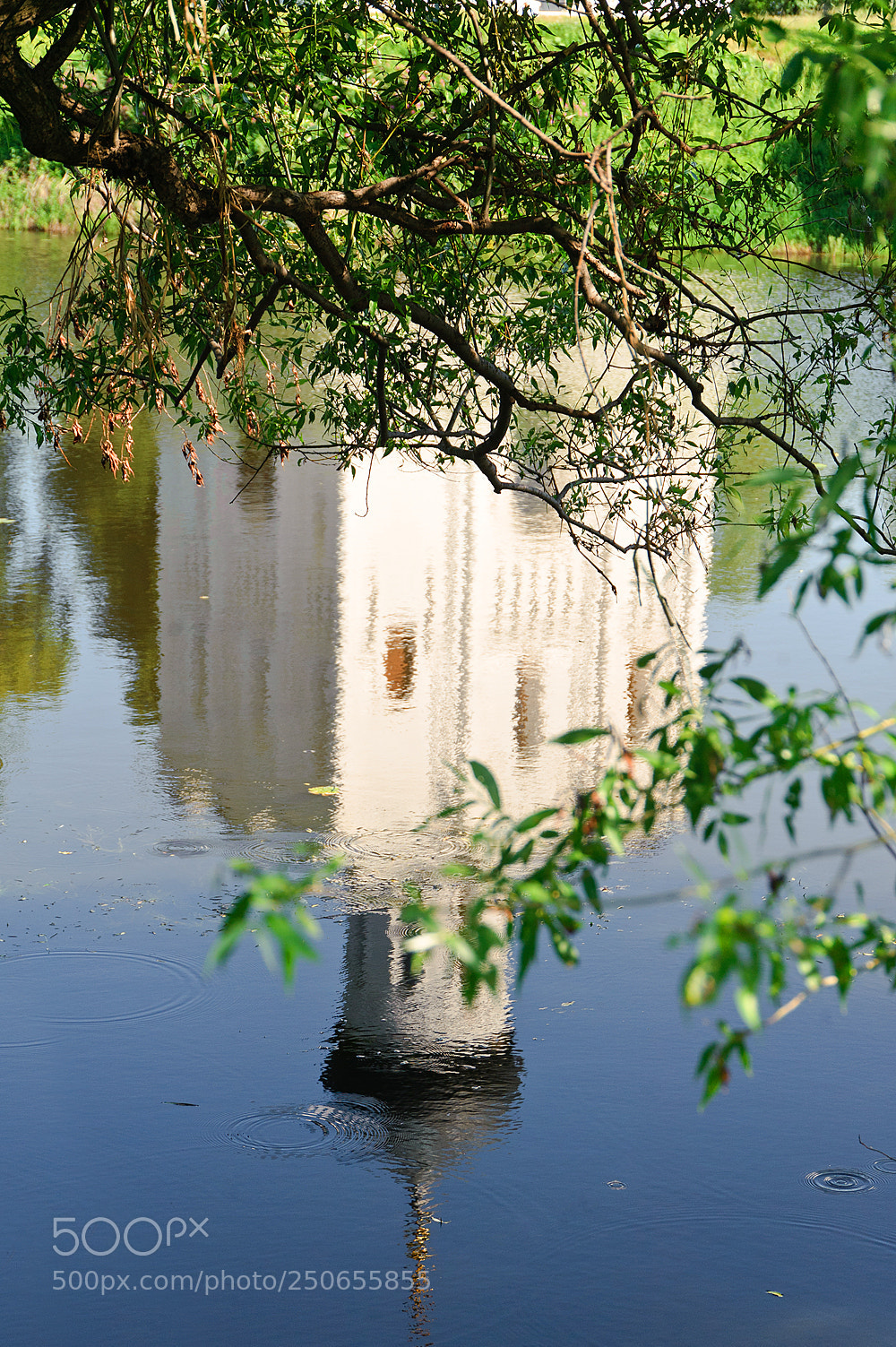 Nikon D700 sample photo. Храм Покрова на Нерли photography