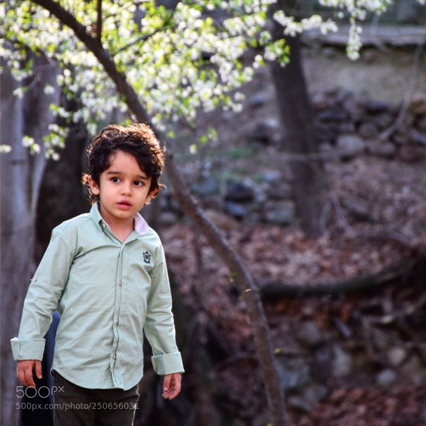 Nikon D5300 sample photo. Spring boy photography