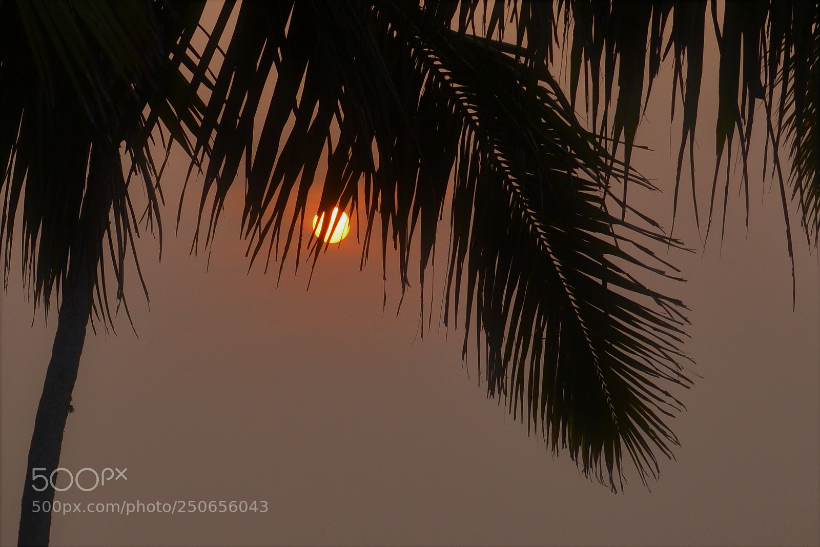 Nikon D3100 sample photo. Sundown photography