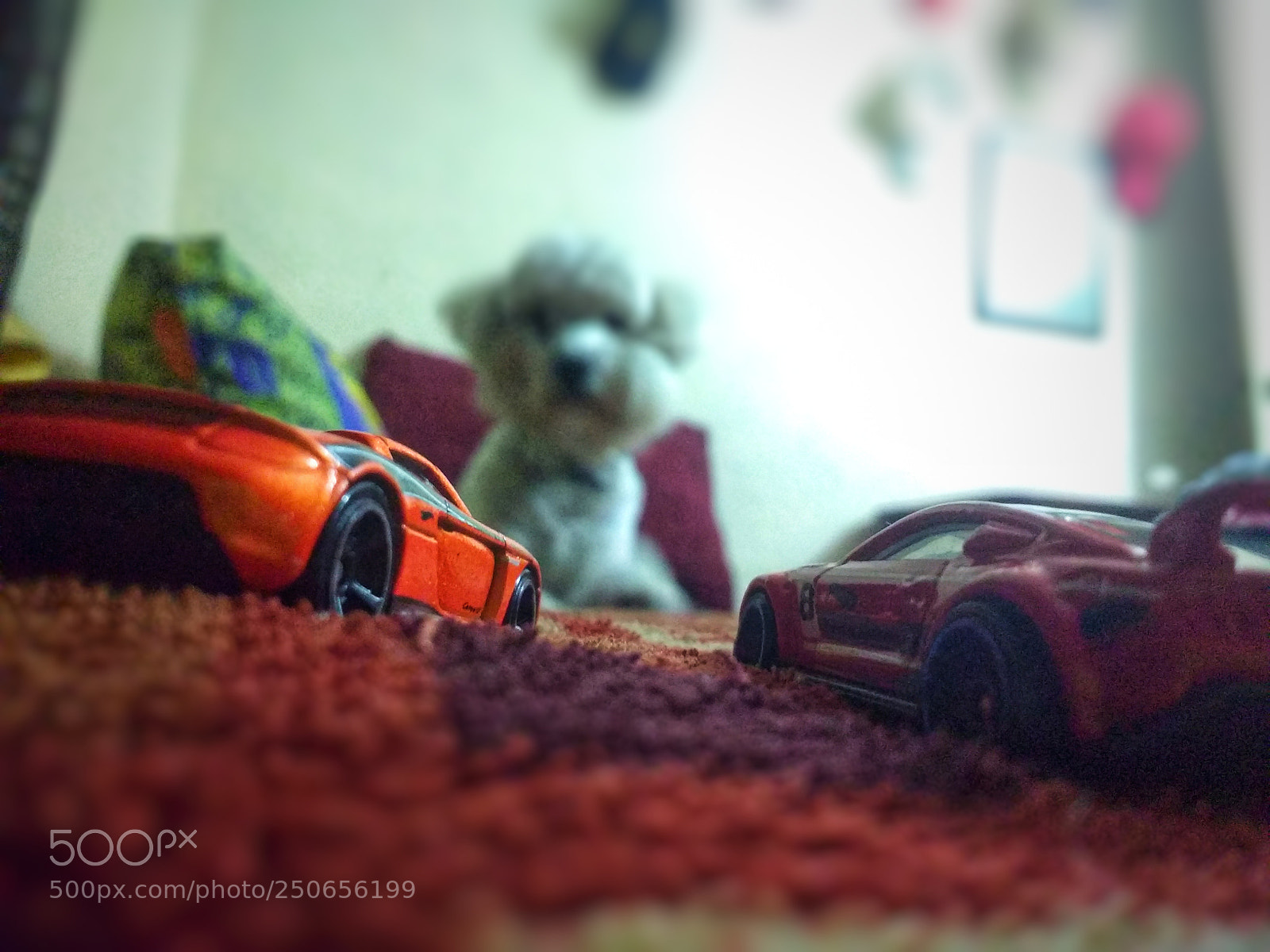 Motorola MotoG3 sample photo. Untitled photography