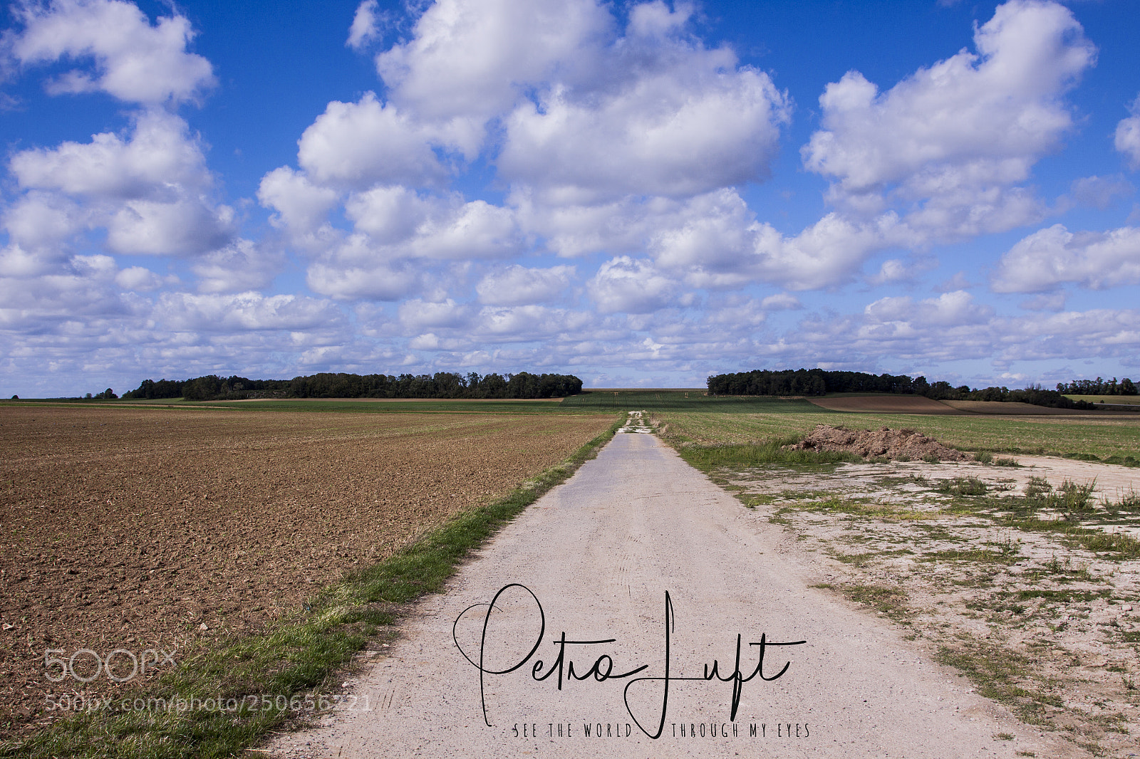 Canon EOS 50D sample photo. Flatlands photography