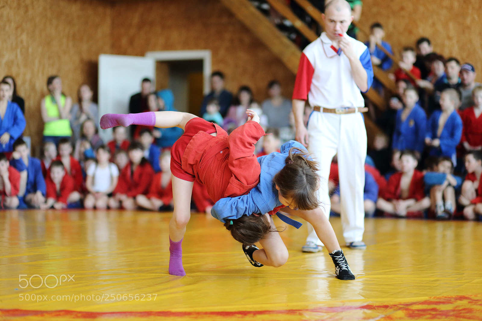 Canon EF 85mm F1.8 USM sample photo. Img photography