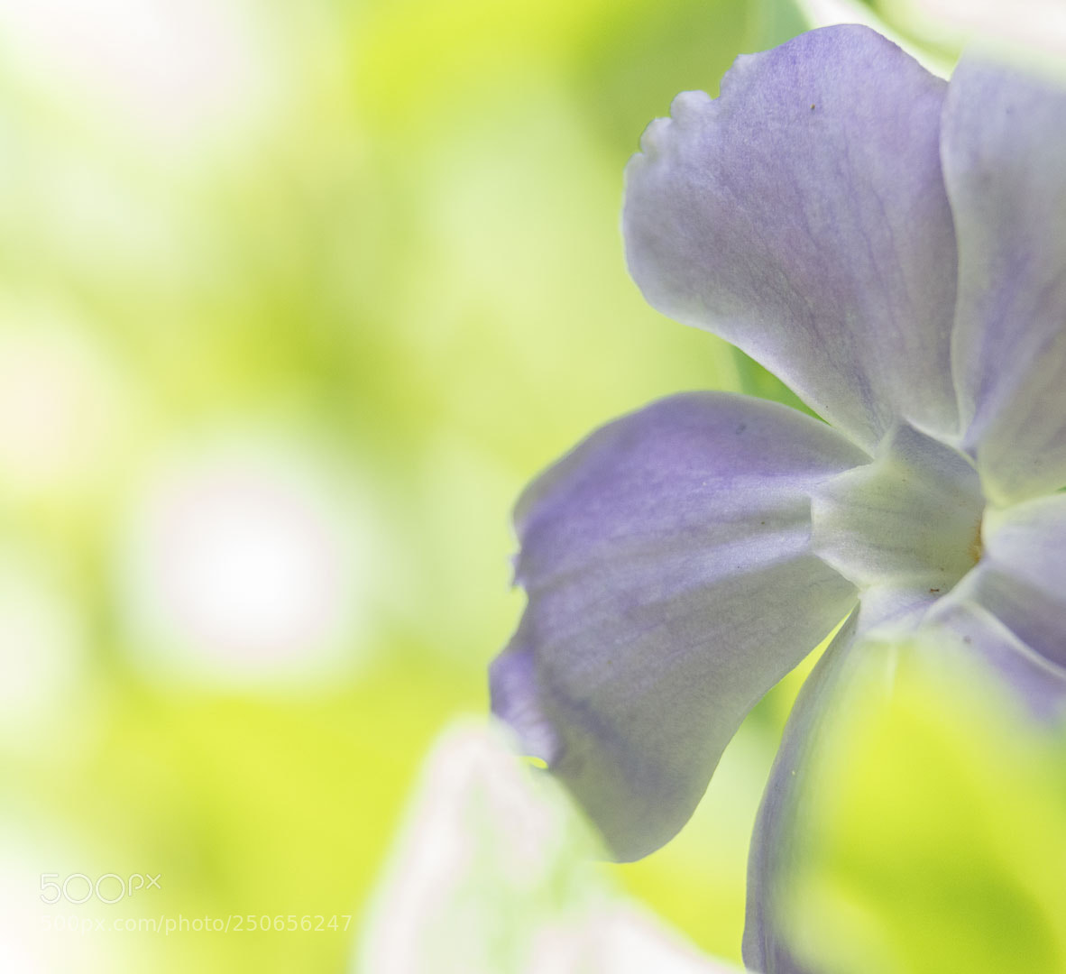 Nikon D5200 sample photo. Untitled photography
