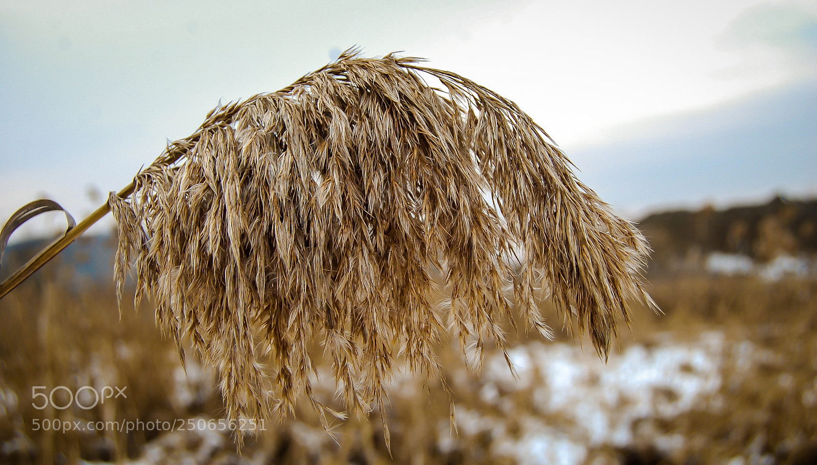 Nikon D40 sample photo. Nature photography