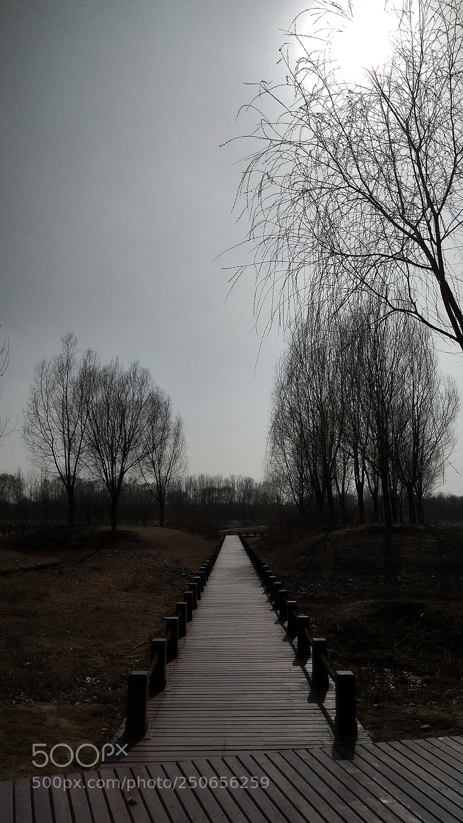 Xiaomi Redmi Note 4X sample photo. 桥 photography