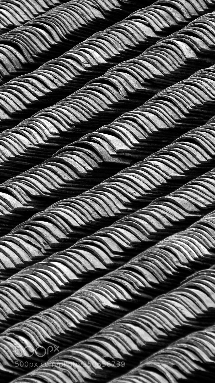 Sony Alpha a5000 (ILCE 5000) sample photo. Shingle photography