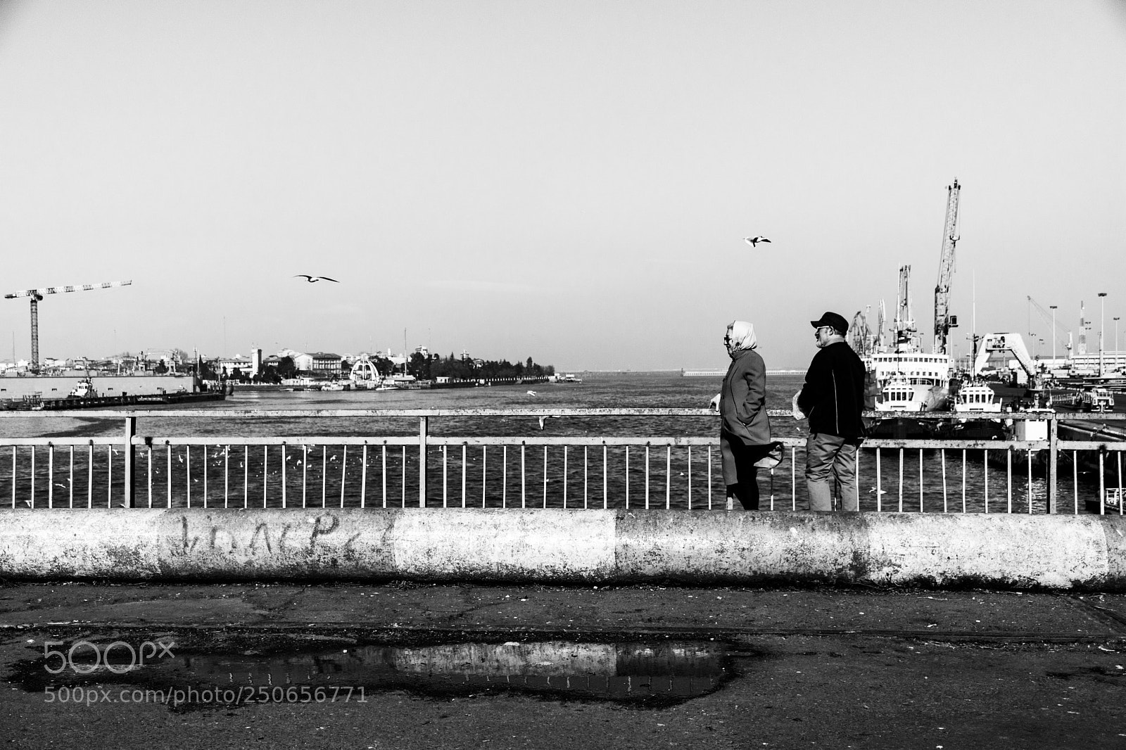 Nikon D7200 sample photo. Untitled photography