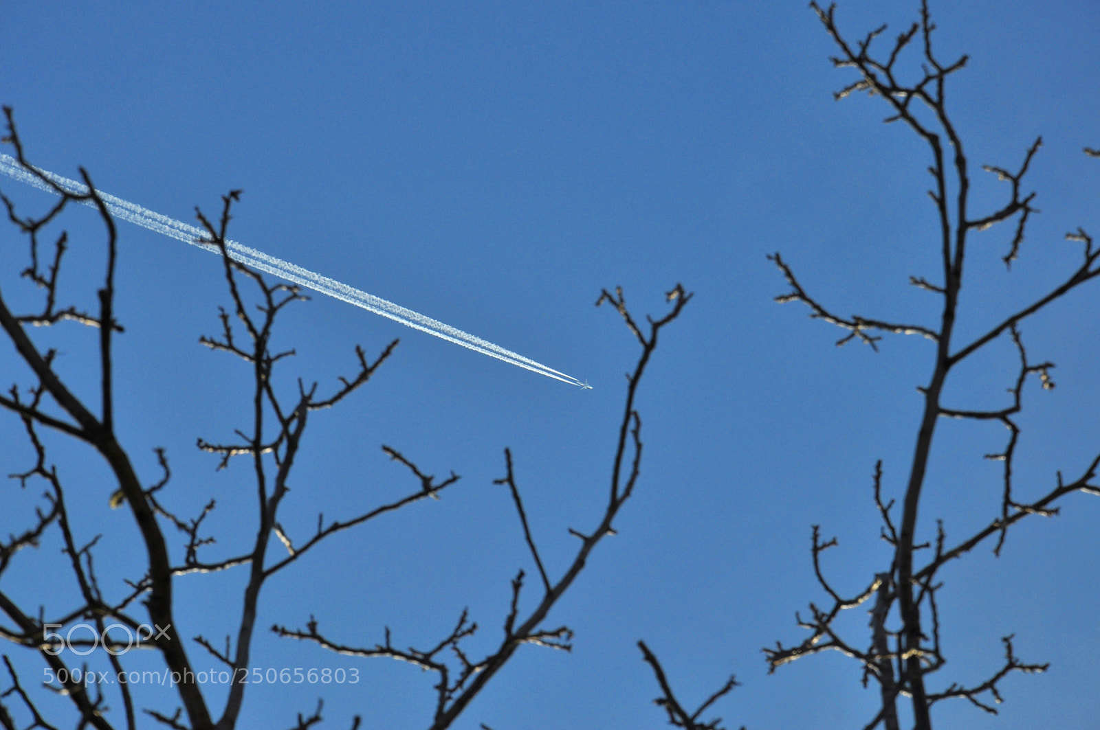 Nikon D5000 sample photo. ✈? photography