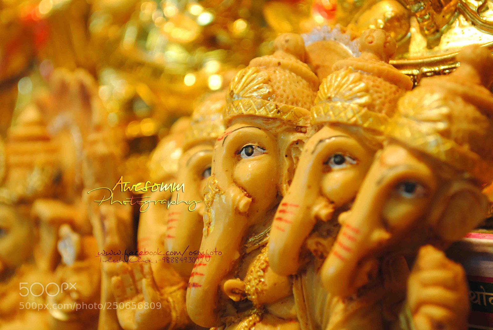 Nikon D3000 sample photo. Panchmukhi ganesha. photography
