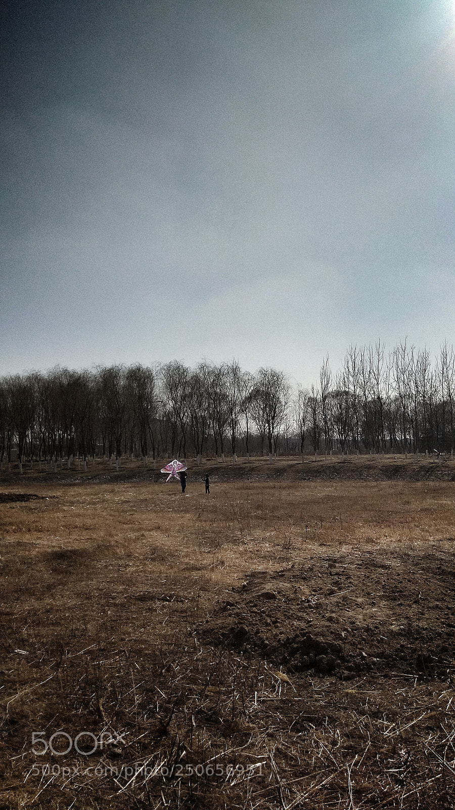 Xiaomi Redmi Note 4X sample photo. Are heaven, earth and photography