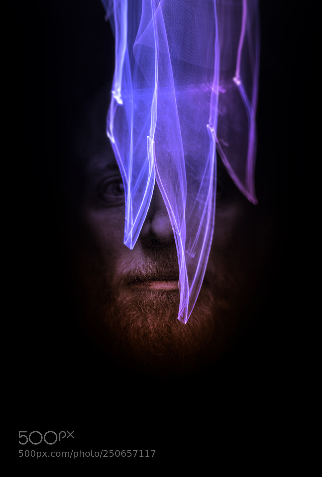 Canon EOS 60D sample photo. Aldric photography