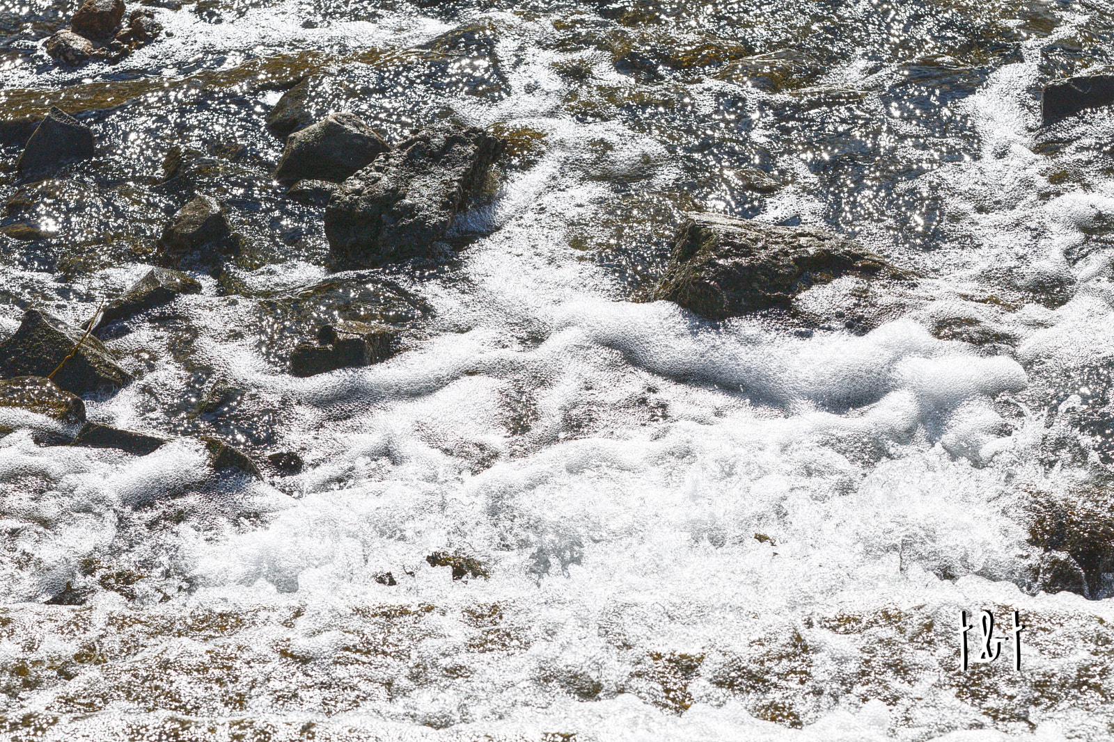 Canon EOS 7D sample photo. Untitled photography