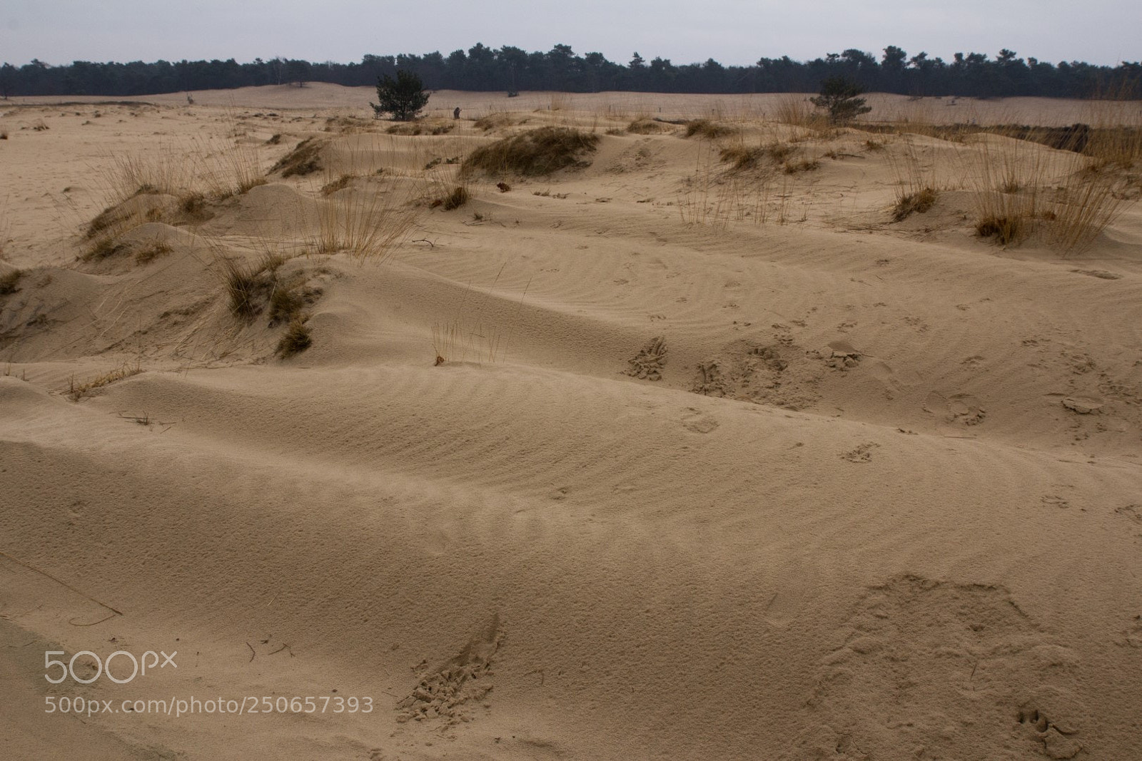 Canon EOS 60D sample photo. Dutch dessert photography