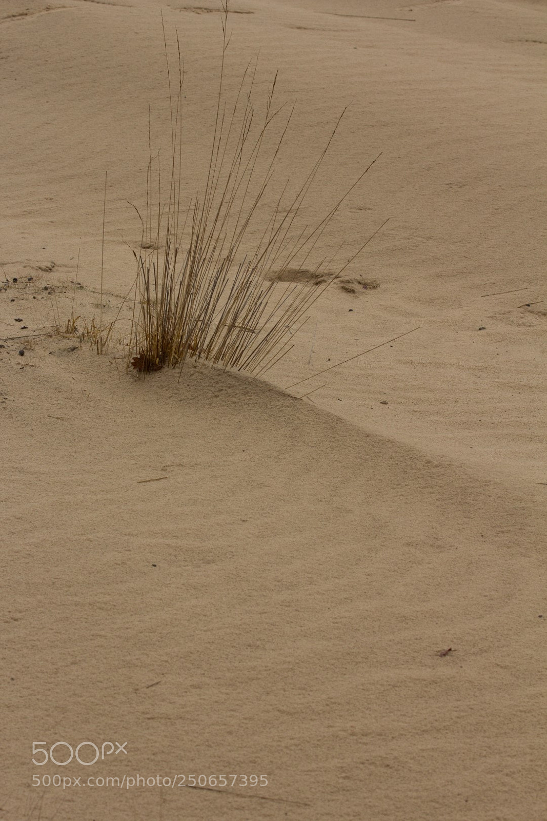 Canon EOS 60D sample photo. Dutch dessert photography