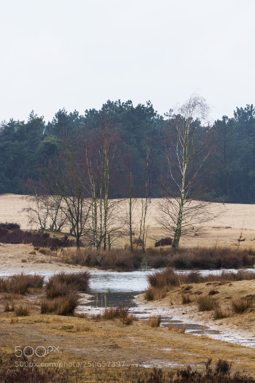 Canon EOS 60D sample photo. Dutch dessert photography