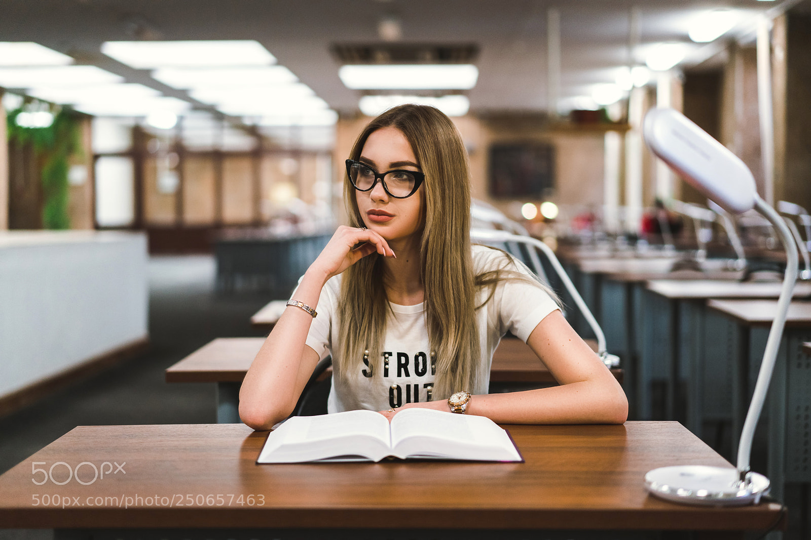 Sony a7R II sample photo. Don library photography
