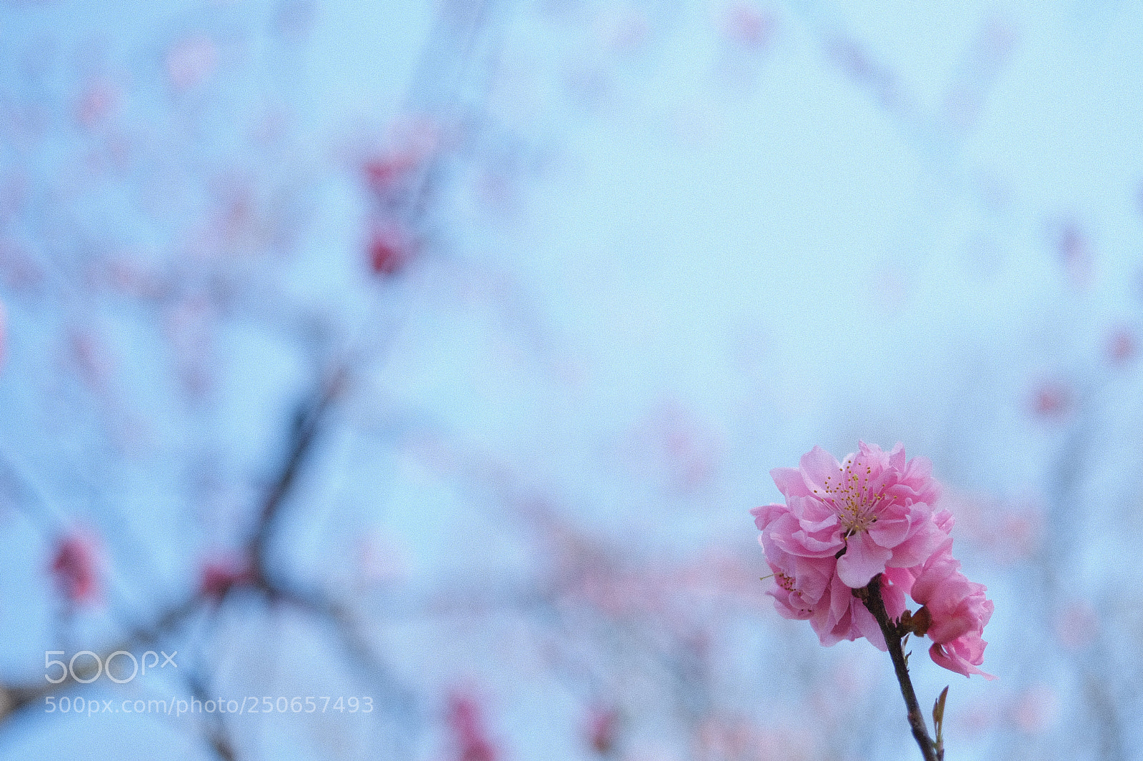 Fujifilm X-Pro2 sample photo. Untitled photography