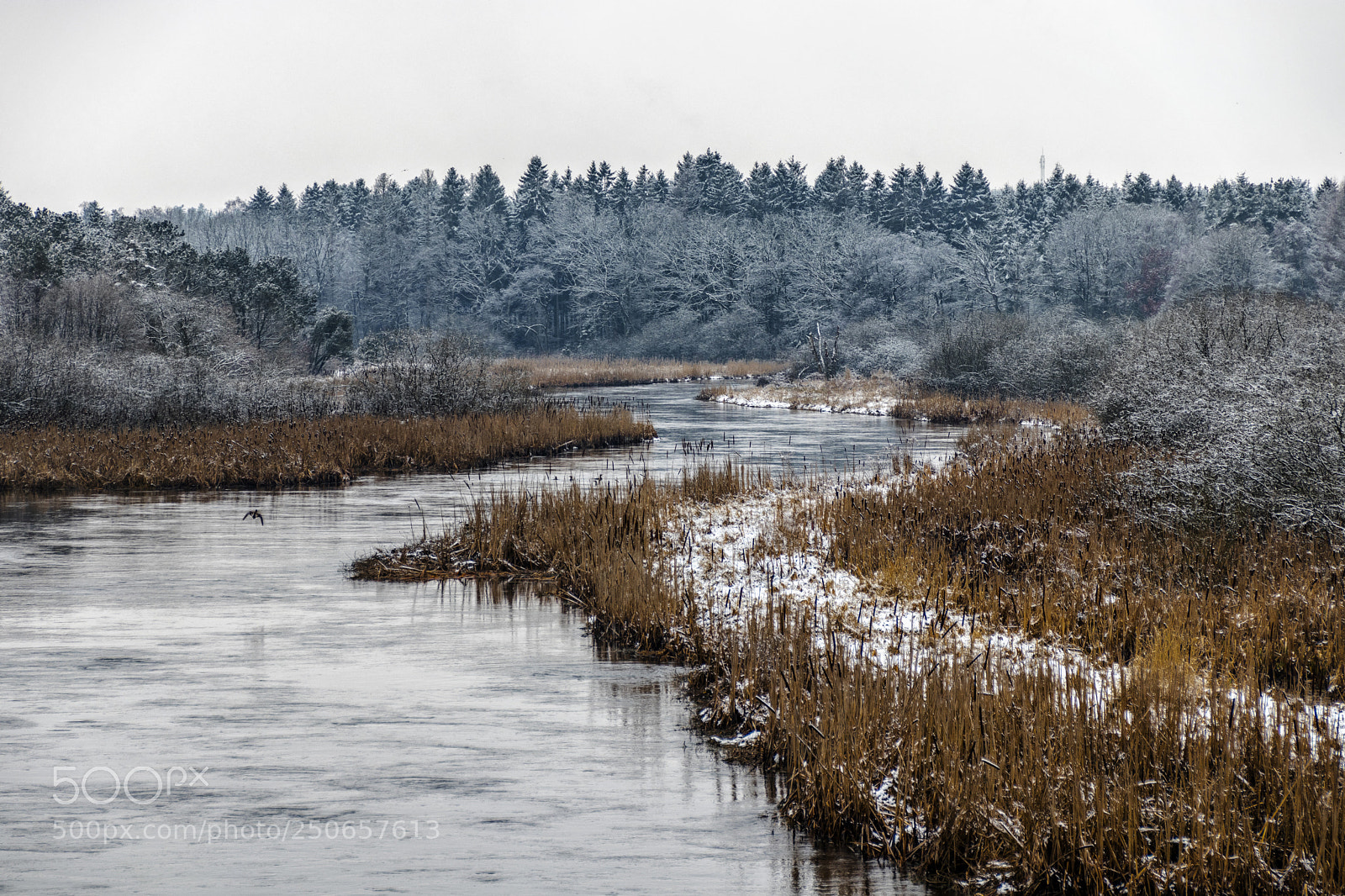 Canon EOS 80D sample photo. Gudenåen photography