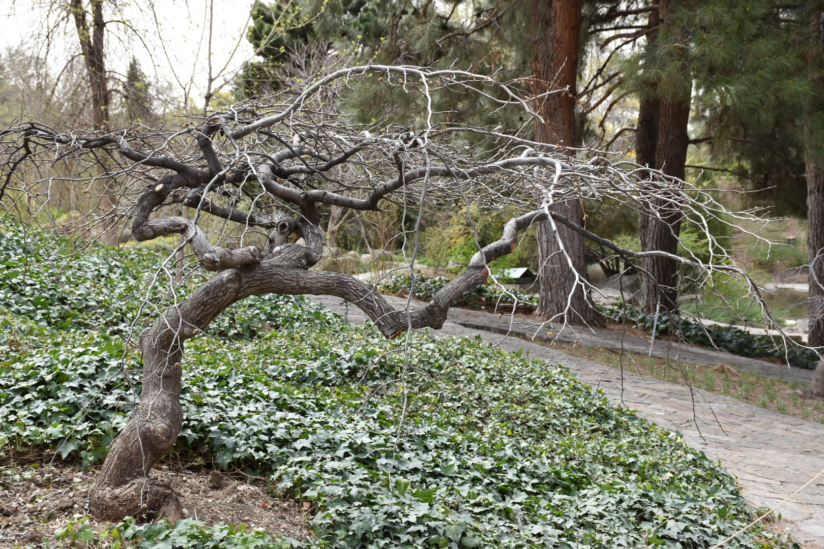 Nikon D5500 sample photo
