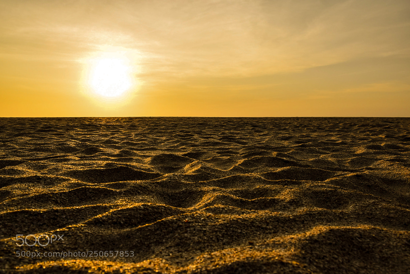 Nikon D5300 sample photo. A sea of sand photography