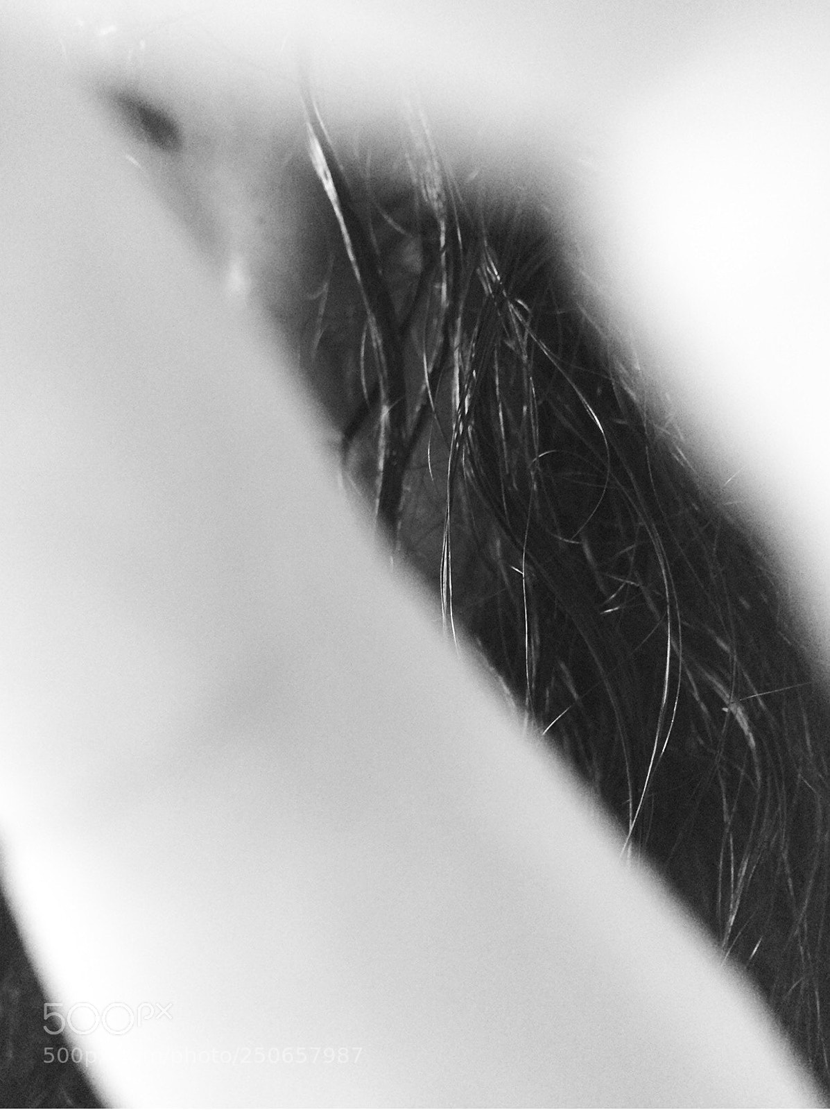 Apple iPhone 5s sample photo. Hidden eye_selfportrait photography