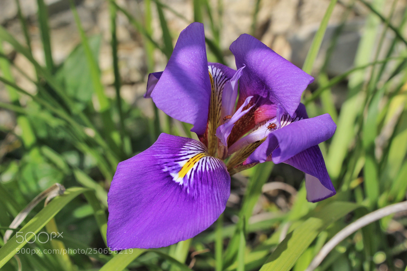 Canon EOS 1200D (EOS Rebel T5 / EOS Kiss X70 / EOS Hi) sample photo. A universe on its photography