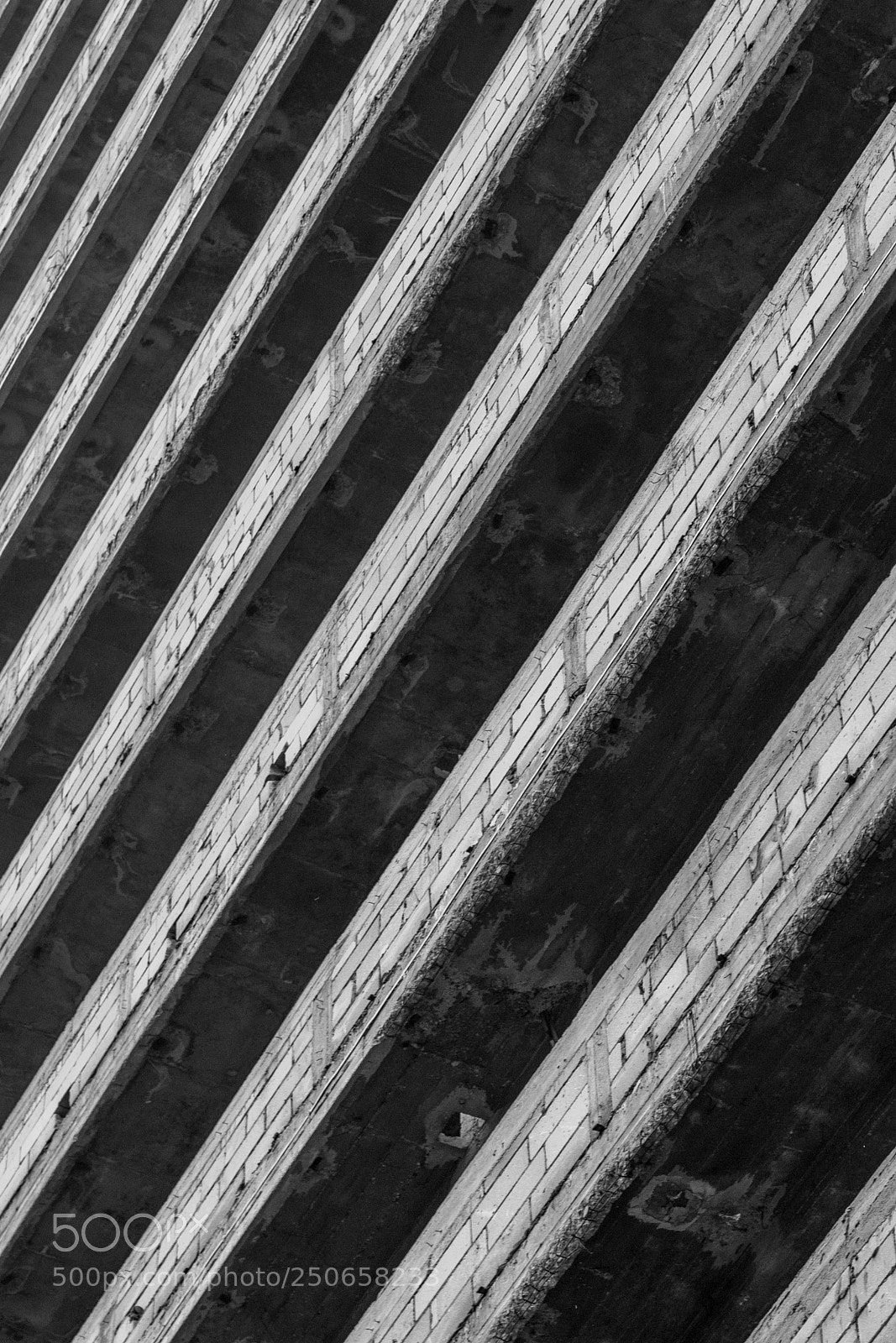 Nikon D5300 sample photo. Diagonals photography