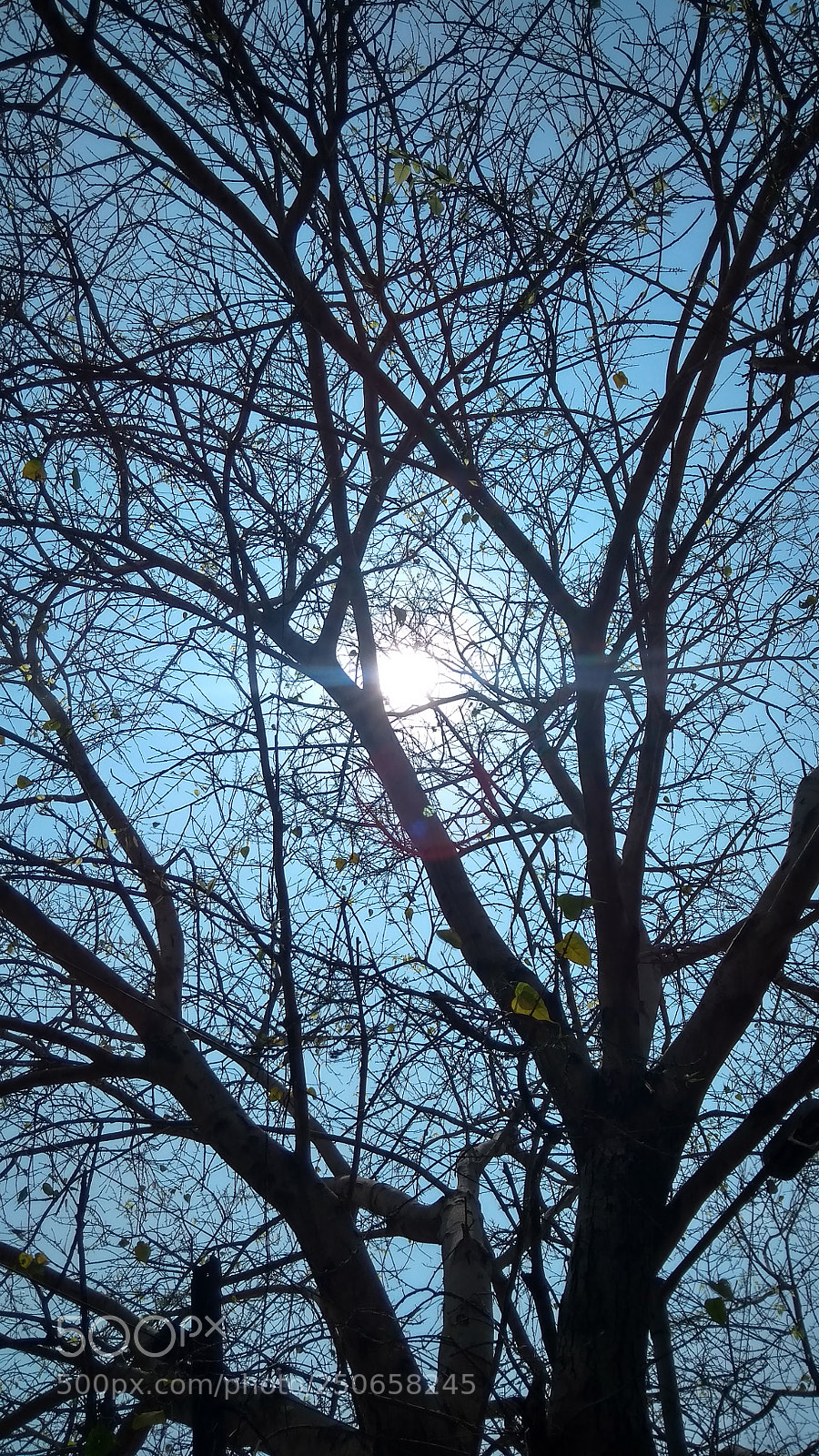 Xiaomi Redmi 4A sample photo. Scorch photography