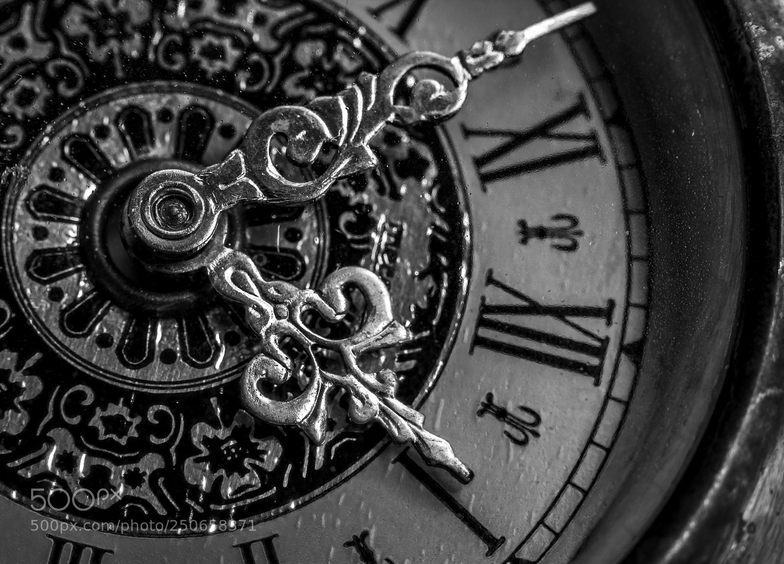 Nikon D5200 sample photo. What a difference an photography