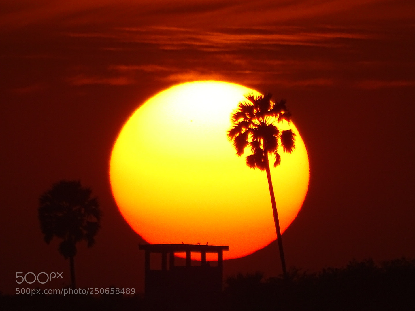Sony Cyber-shot DSC-HX400V sample photo. Beautiful sunset.!! photography