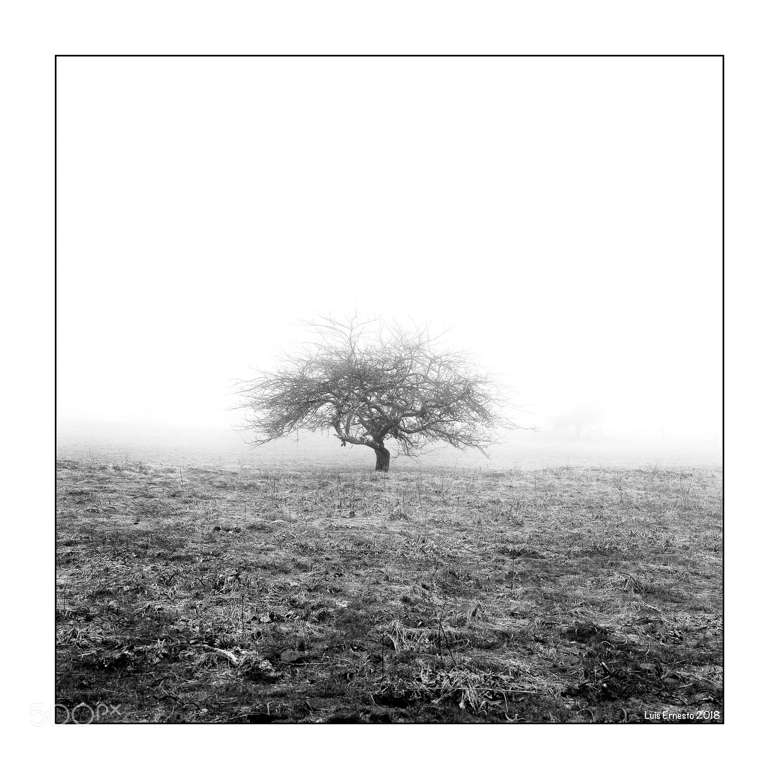 Fujifilm GFX 50S sample photo. Niebla photography