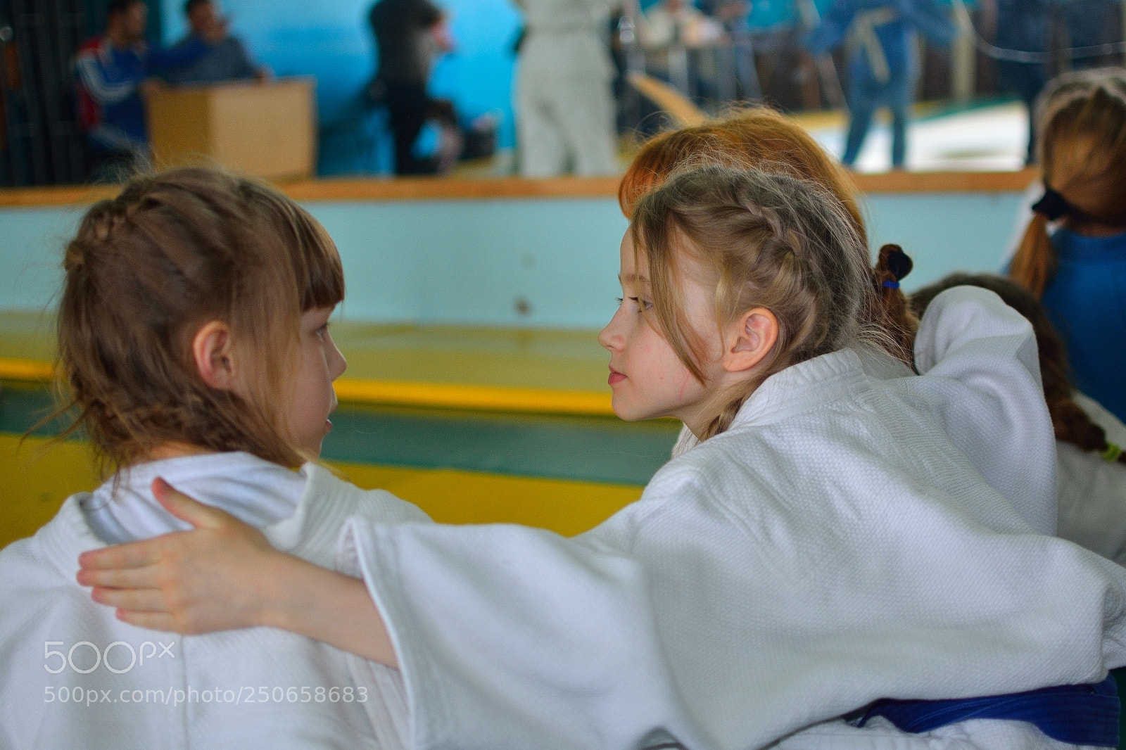 Nikon D5200 + Nikon AF-S DX Nikkor 35mm F1.8G sample photo. Самбо Чернушка photography