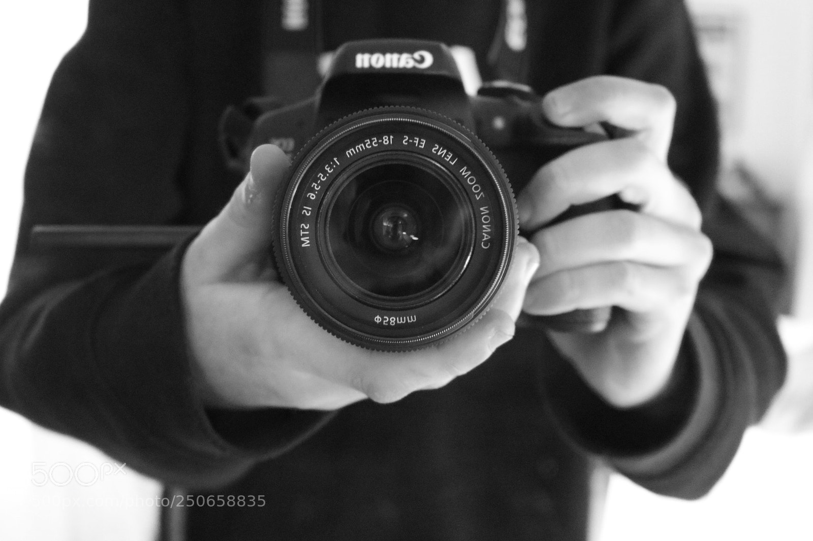 Canon EOS 750D (EOS Rebel T6i / EOS Kiss X8i) sample photo. Untitled photography