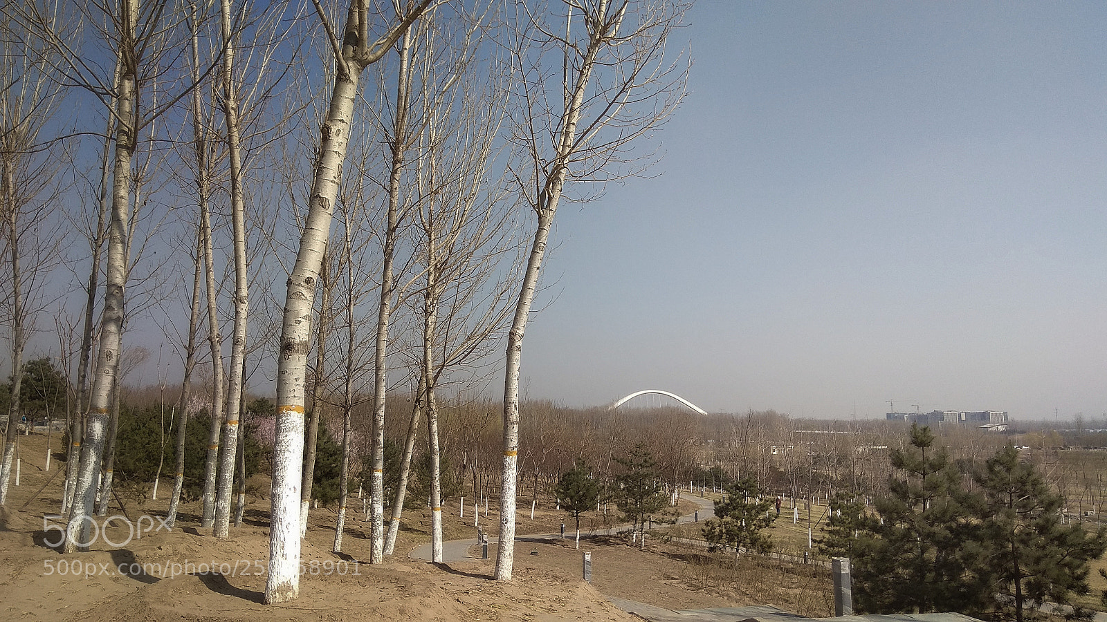 Xiaomi Redmi Note 4X sample photo. Bridge photography