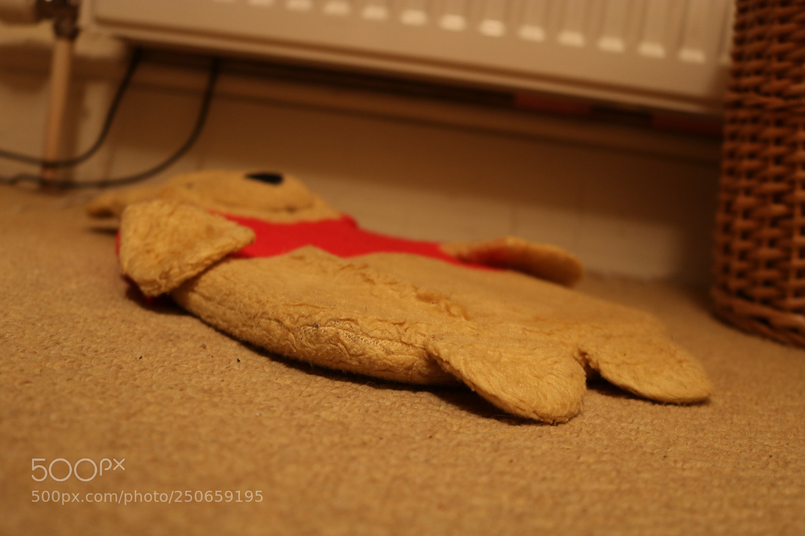 Canon EOS 750D (EOS Rebel T6i / EOS Kiss X8i) sample photo. Neglected photography