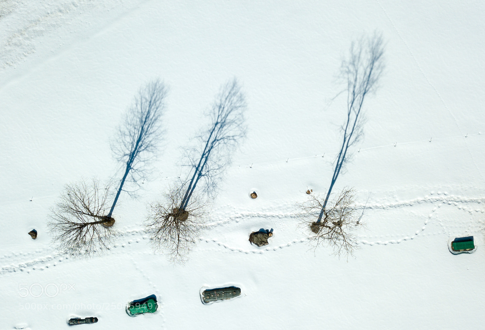 DJI FC220 sample photo. Trees in switzerland photography