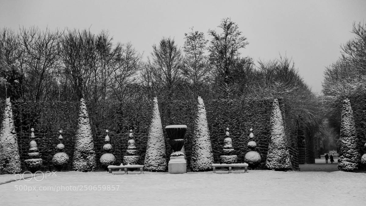 Sony Cyber-shot DSC-RX100 sample photo. Versailles photography