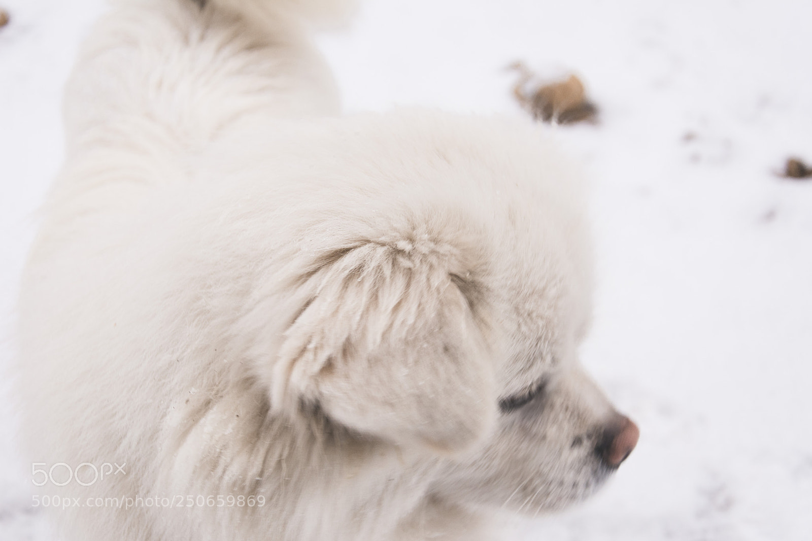 Nikon D7100 sample photo. Snow photography