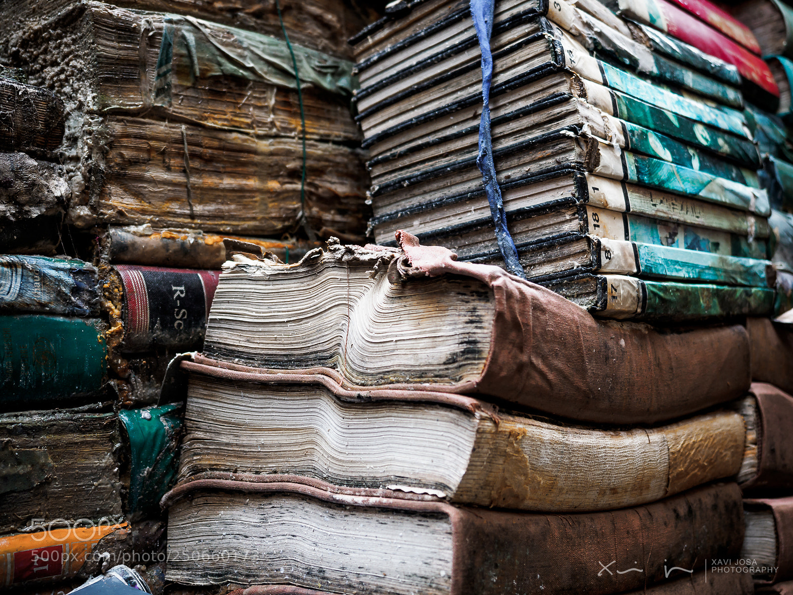 Olympus OM-D E-M1 Mark II sample photo. Libreria acqua alta.. photography