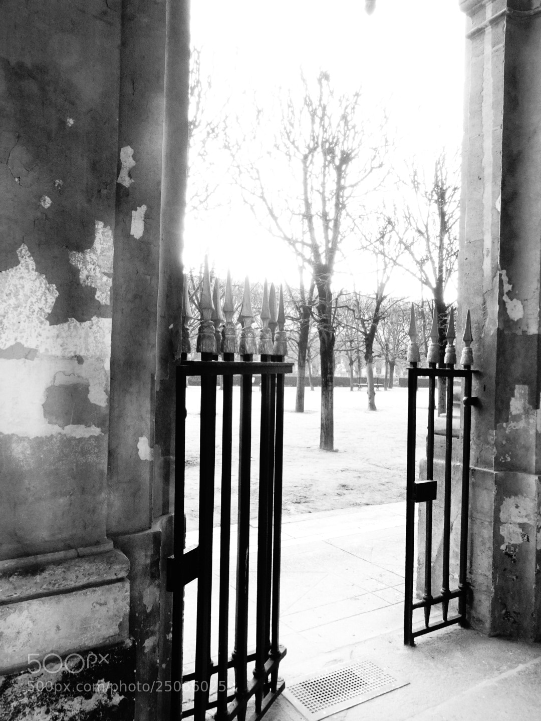 Sony DSC-HX60V sample photo. Ghost in the garden photography