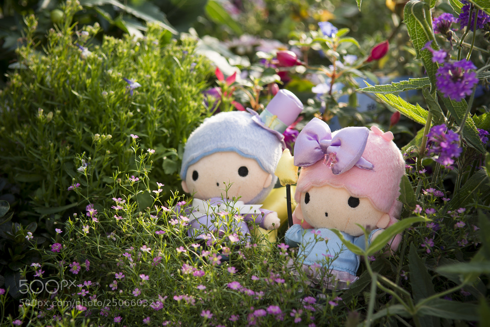 Nikon D7100 sample photo. Wonderland photography