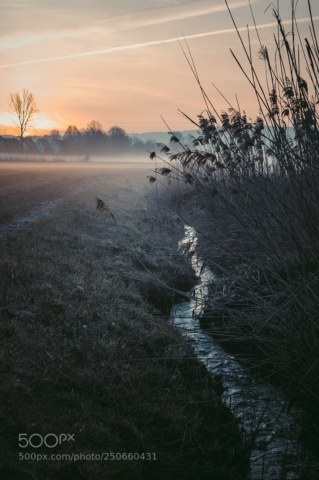 Nikon D5000 sample photo. Morning silence photography