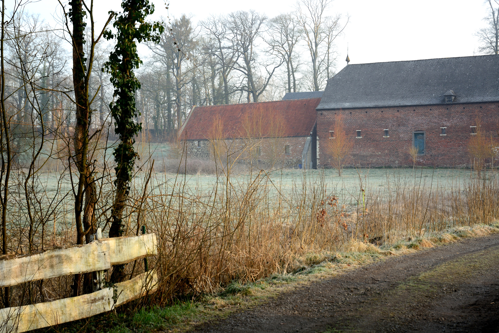 Nikon D5200 sample photo