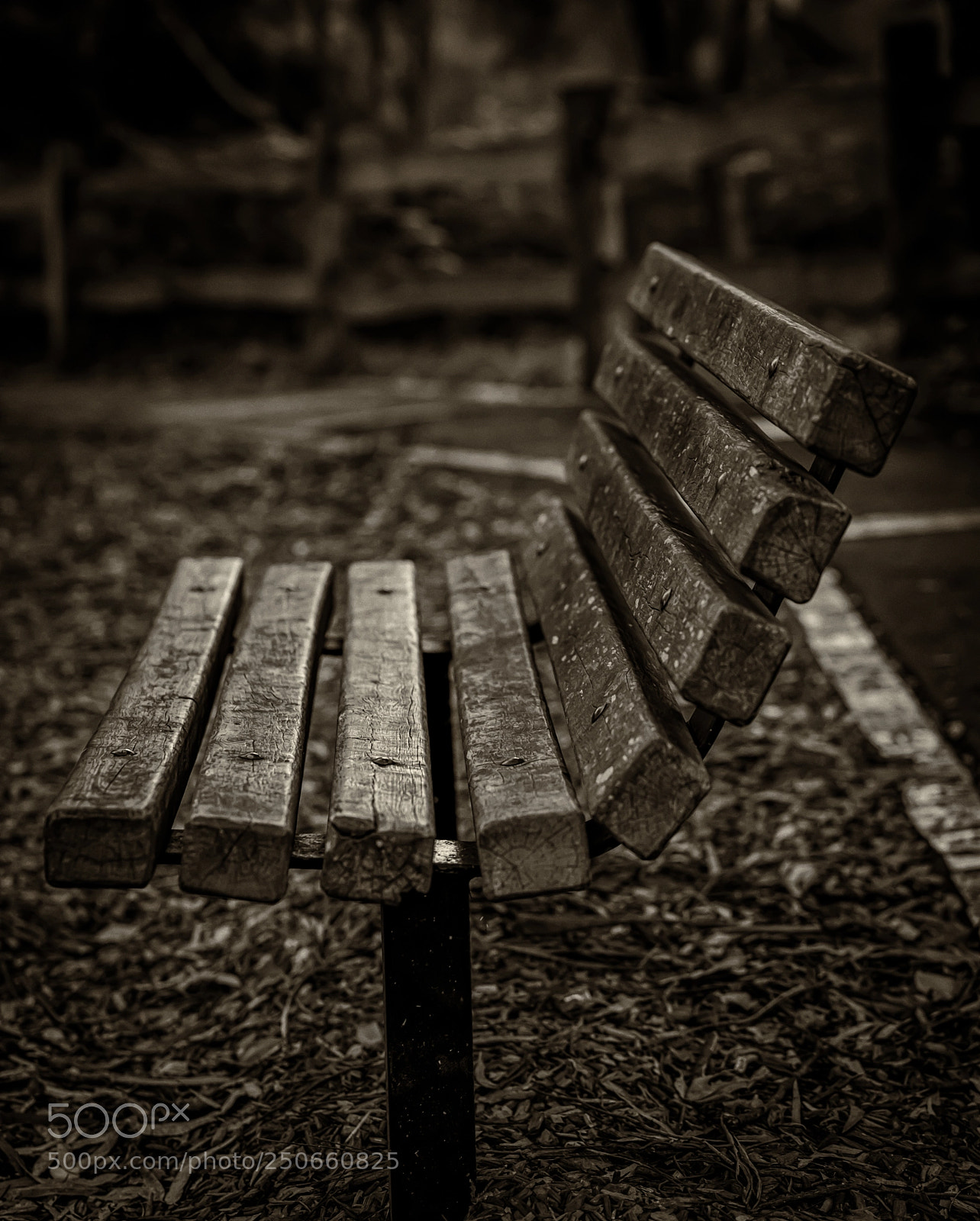 Canon EOS 5D Mark IV sample photo. Take a seat photography