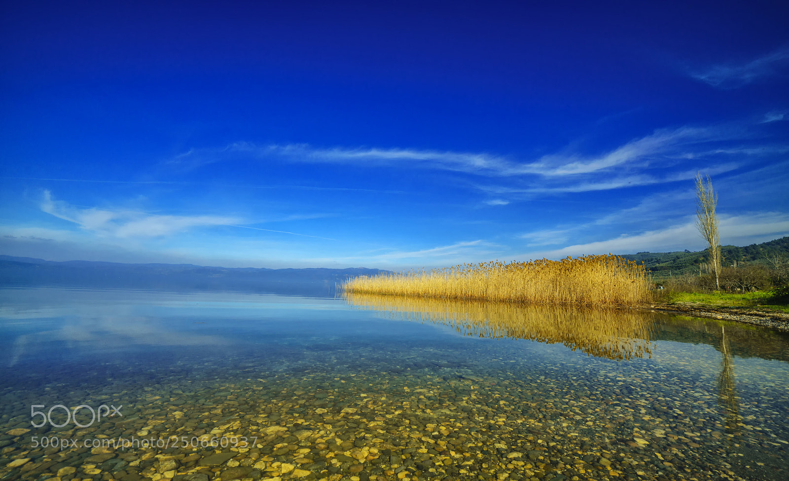 Sony a7R II sample photo. Blue, yellow and green photography