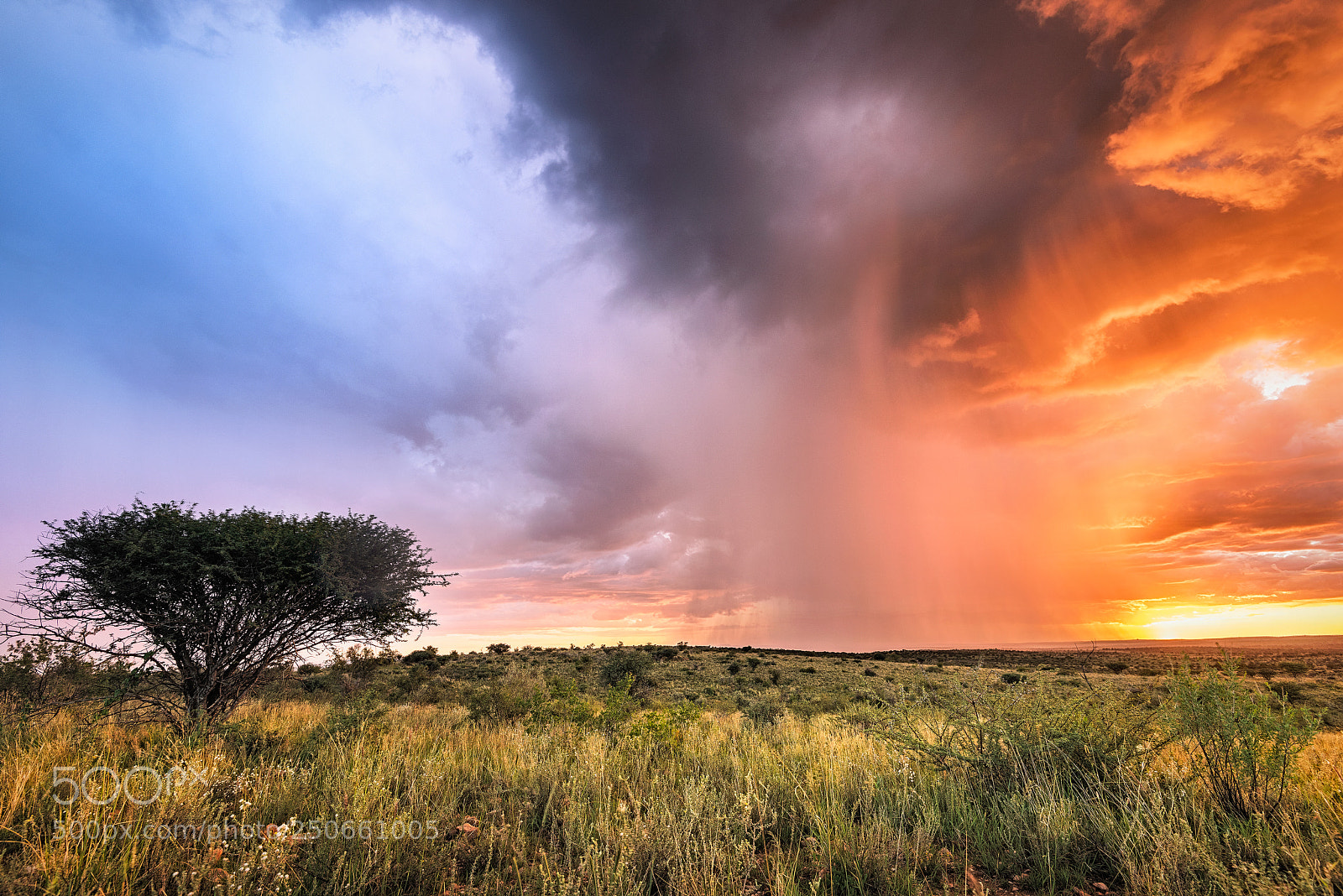 Nikon D810 sample photo. Kupferberg namibia photography