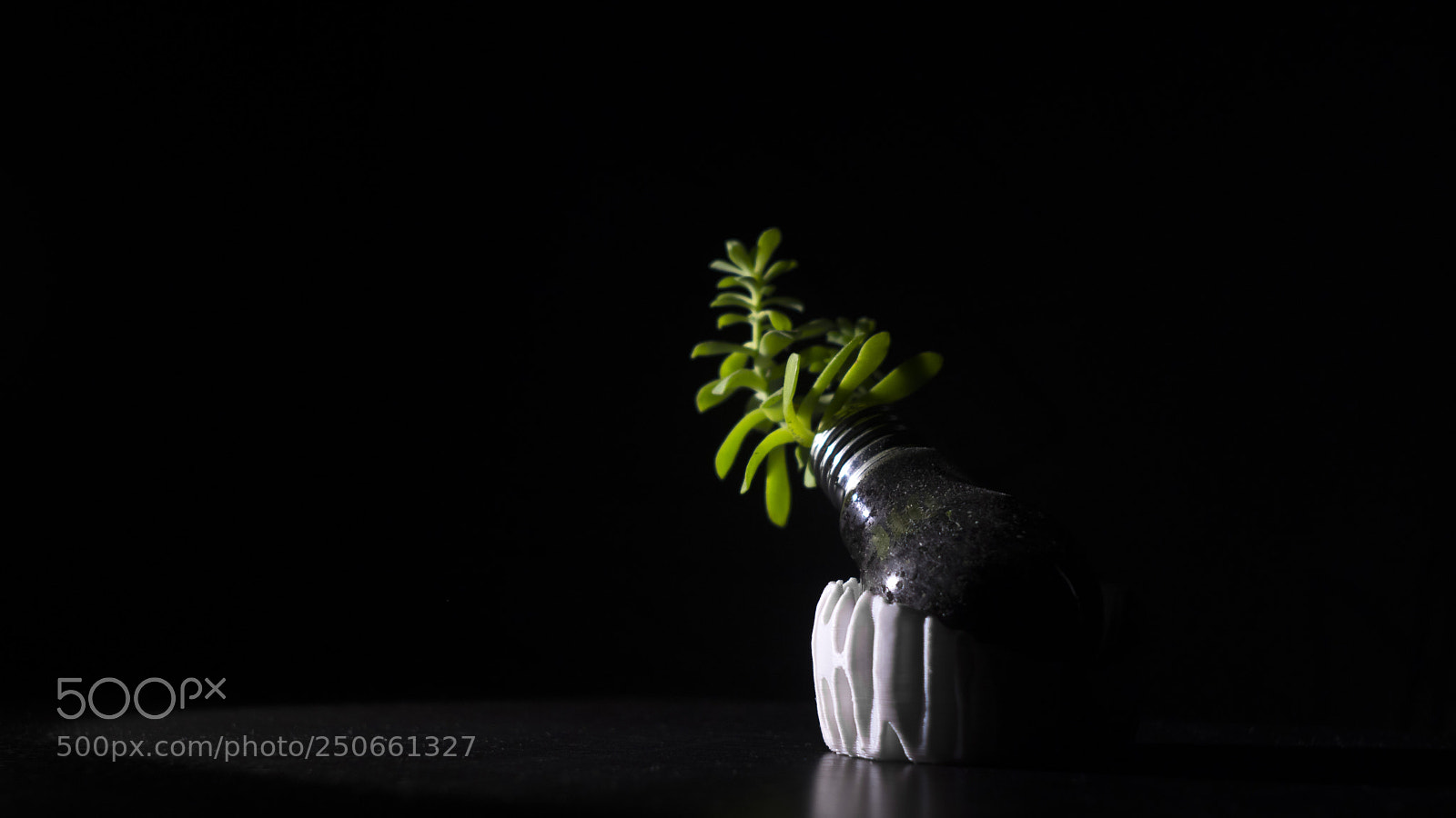 Canon EOS 80D sample photo. Light bulb photography