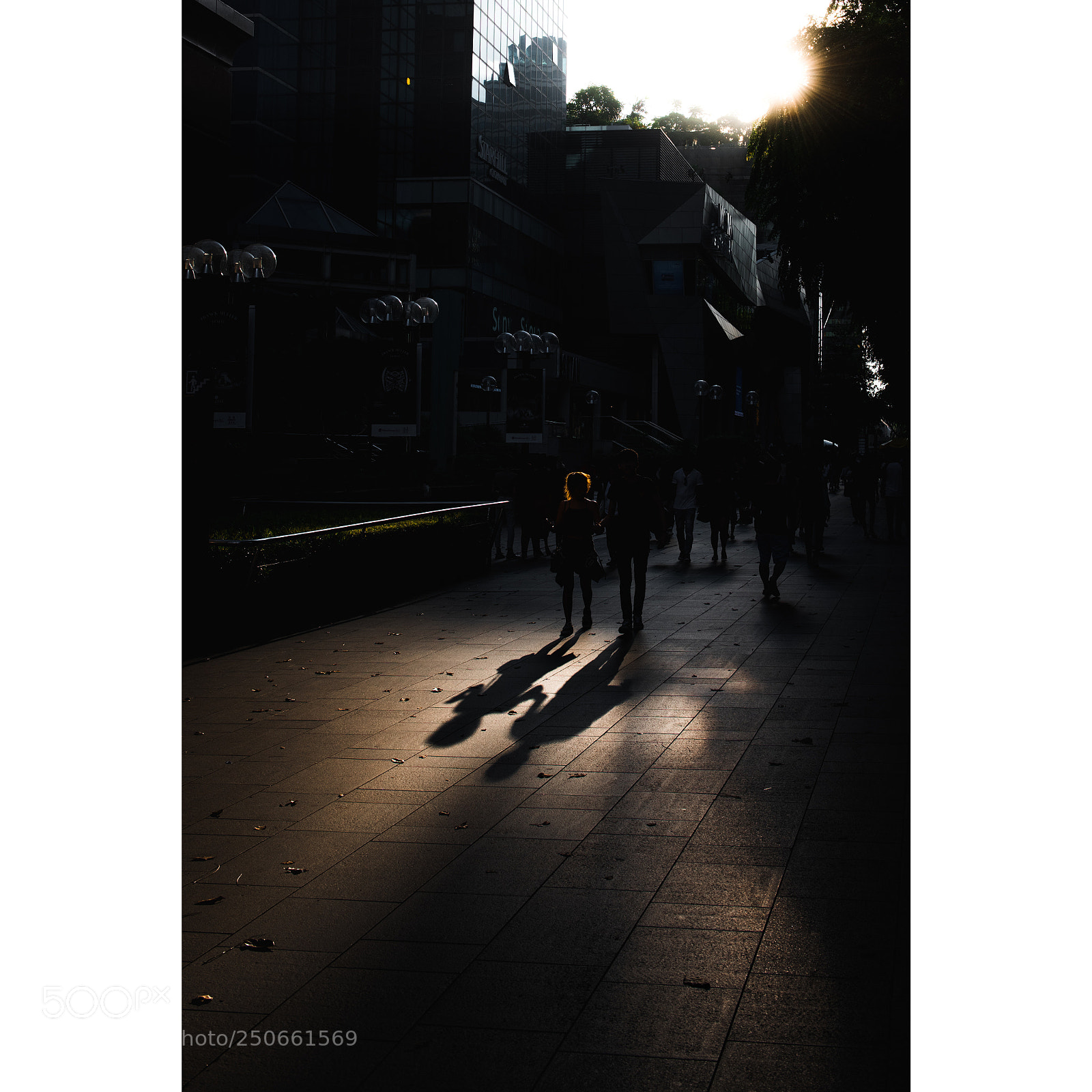Nikon D810 sample photo. Orchard road photography