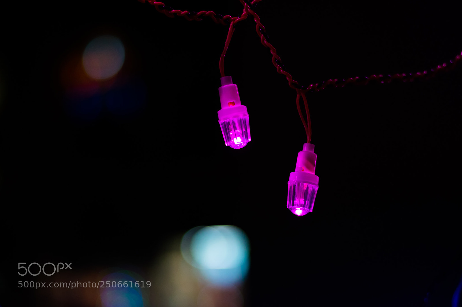Nikon D5300 sample photo. Festive lights photography