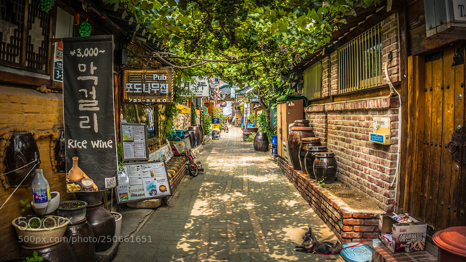 Sony Alpha NEX-5R sample photo. Near insadong street, seoul photography